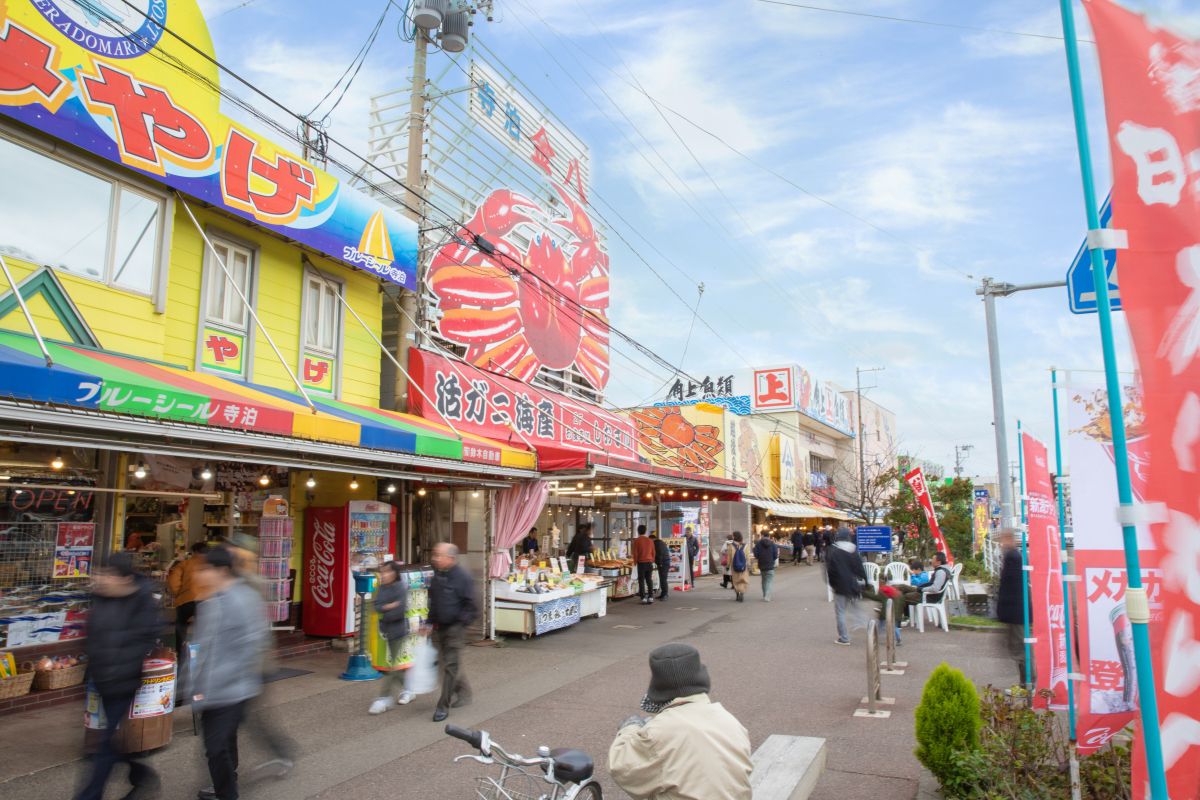 寺泊魚市場の完全攻略ガイド！2026年最新の海鮮と混雑回避術