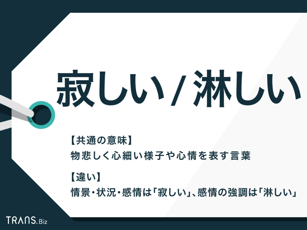 「寂しい」と「淋しい」の違いは？公用文ルールと感情の深さを徹底比較