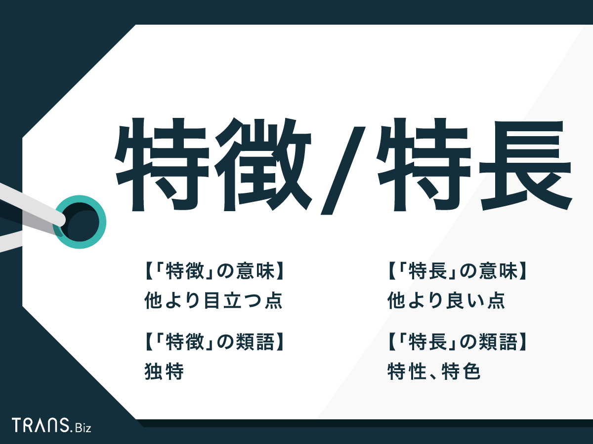 特性とは何か？特徴や個性との決定的な違いと2026年最新の活用法