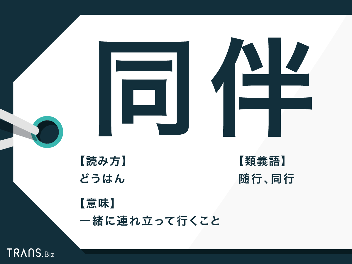 同伴とは？アフターとの違い・料金相場と2026年最新ルールを徹底解説