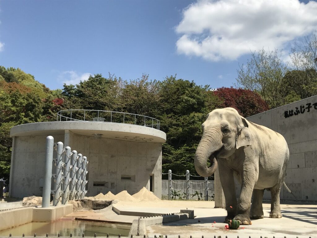 岡崎市東公園動物園はなぜ無料？魅力・混雑対策と2026最新情報