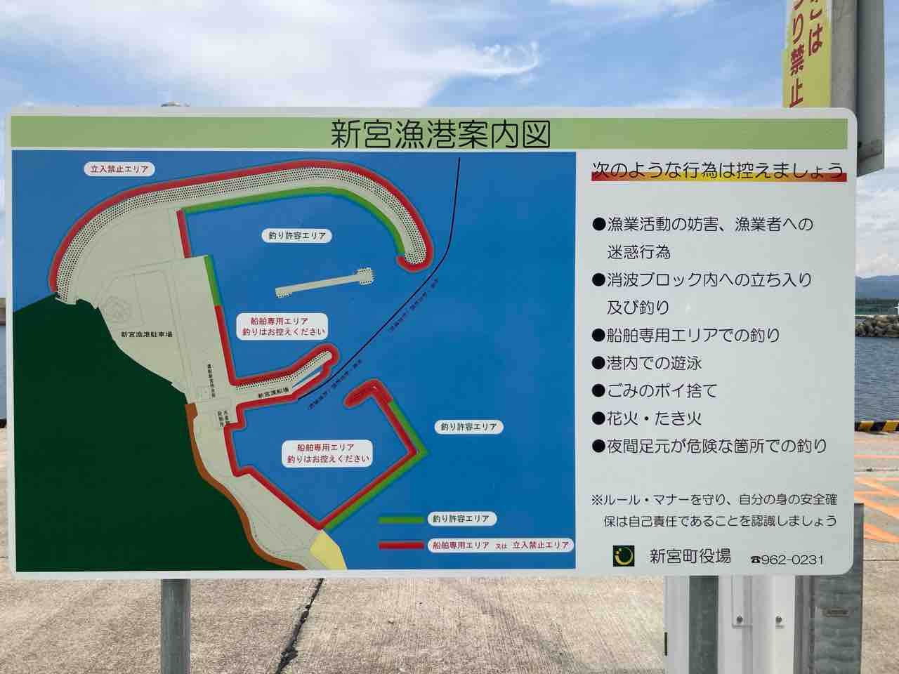 【2026最新】新宮漁港の釣果総力解説！アジ・アオリイカ爆釣の真相