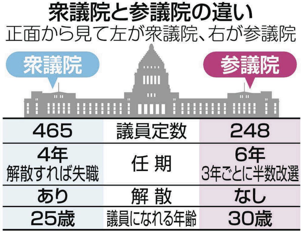 参議院と衆議院の違いを徹底解剖！優越の理由と5大要点をプロが解説