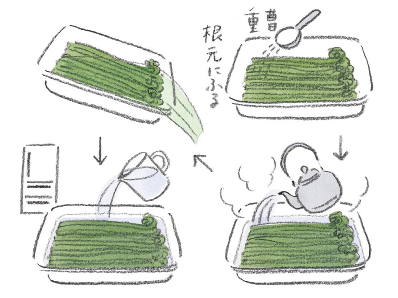 わらびのアク抜きで失敗しないコツ！重曹なしでも苦味を残さない簡単な裏ワザ