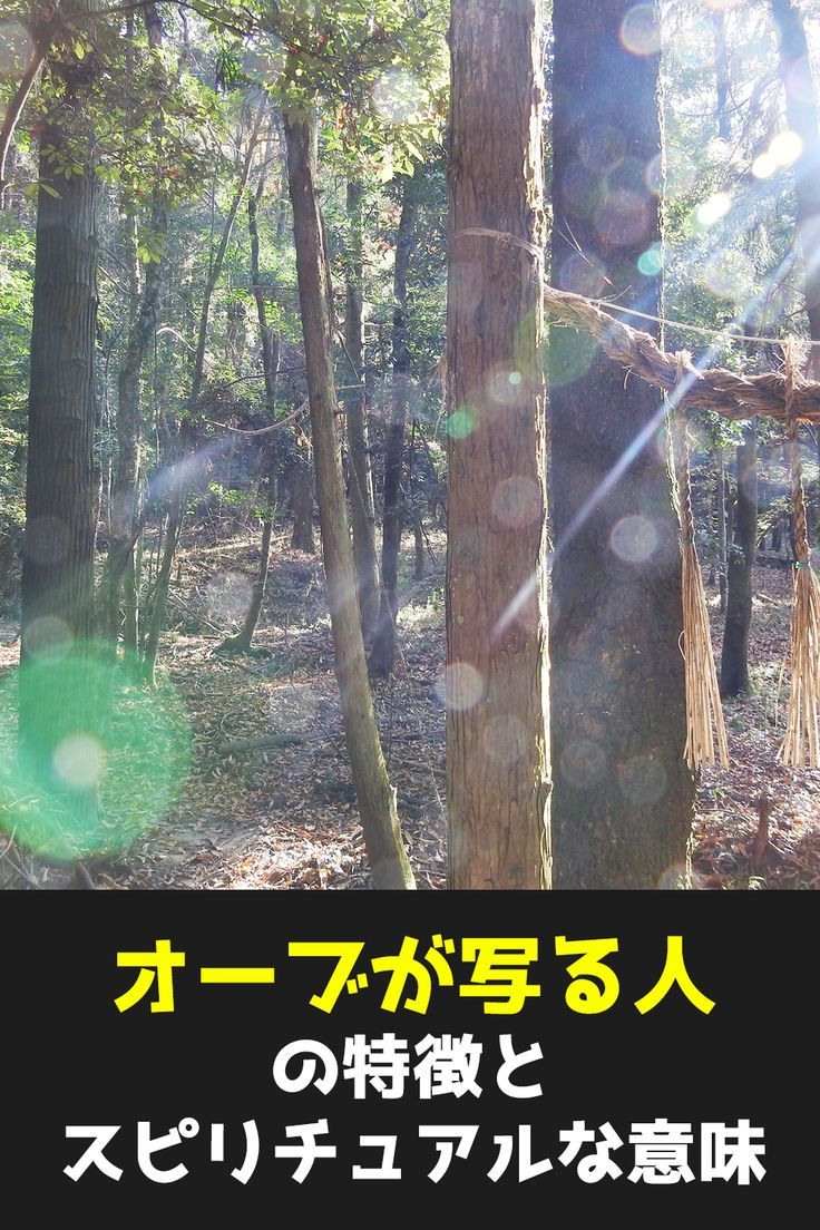 写真に写るオーブとは？科学的根拠と色の意味・見分け方を徹底解明