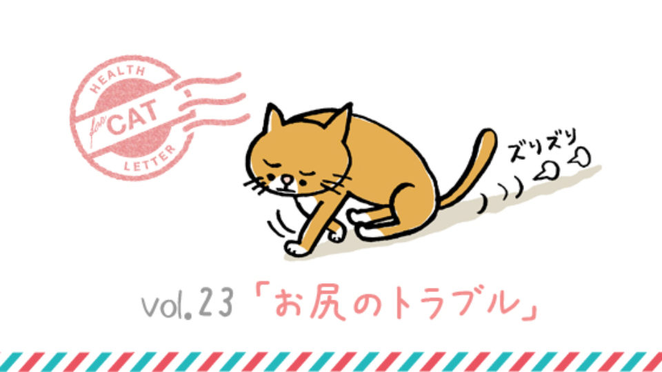 猫がお尻歩きする理由は？肛門腺破裂を防ぐ正しい絞り方と病院費用