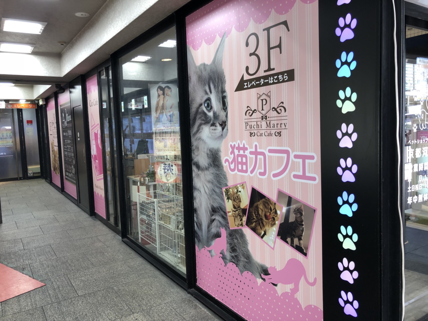 ぷちまりー京都河原町店の評判は？料金や混雑と注意点を徹底検証