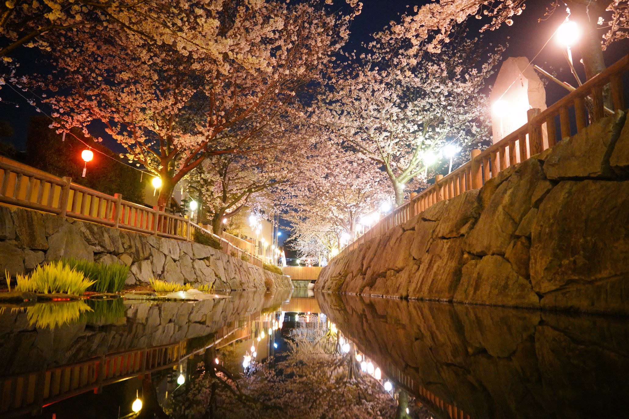 高松・鹿の井出水とは？空海伝説と桜の絶景・駐車場を徹底解説