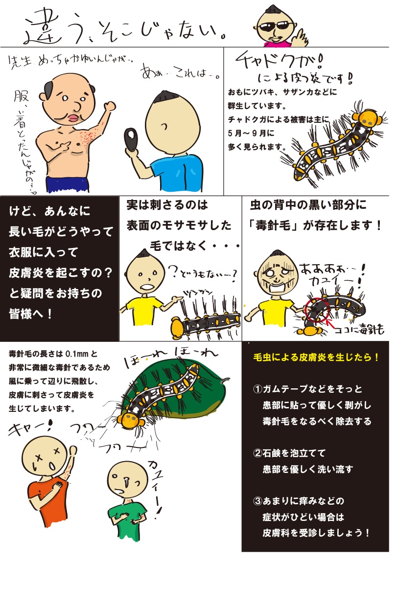 チャドクガ皮膚炎の症状と正しい治し方｜猛烈な痒みと跡を防ぐ完全対策