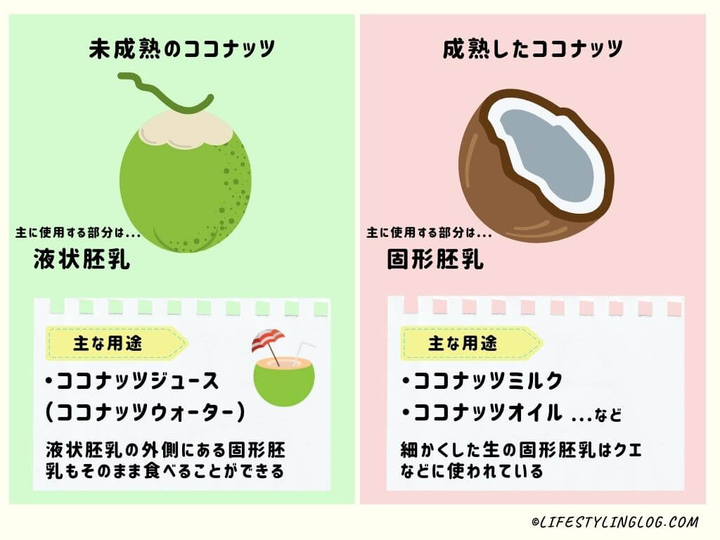 ココナッツとヤシの実は別物だった！知らないと恥ずかしい違いを徹底解説