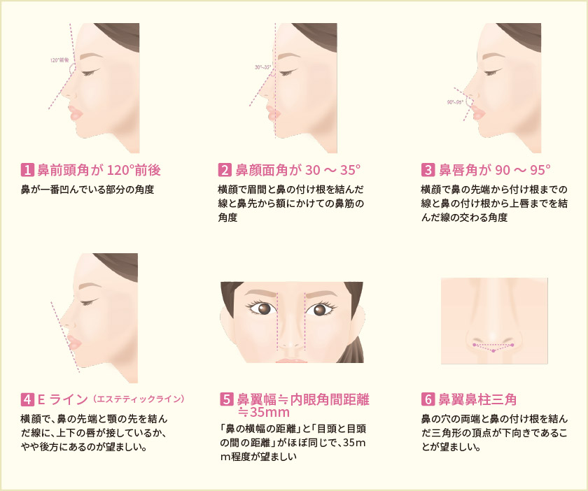 鼻が高いか確かめる方法とは？自宅でできる黄金比診断と平均基準