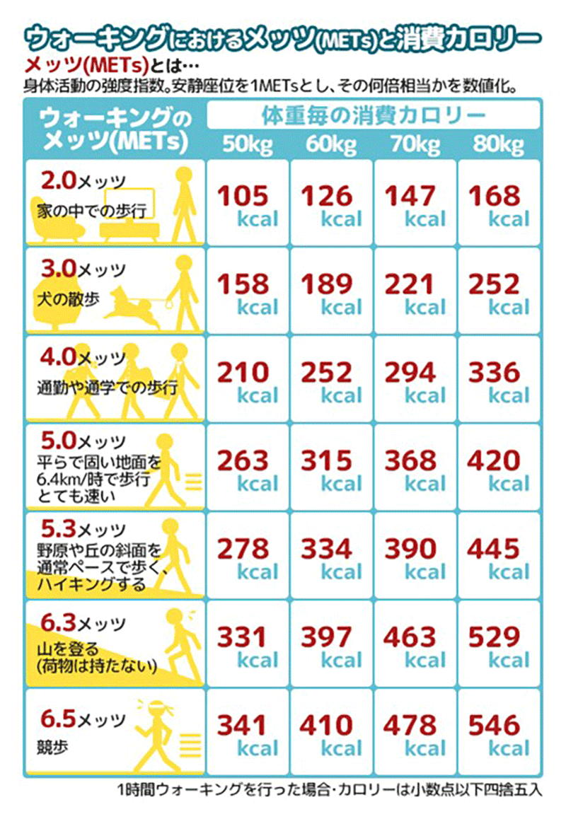 2万歩は何キロ？身長別の距離・時間と歩きすぎリスクを徹底検証