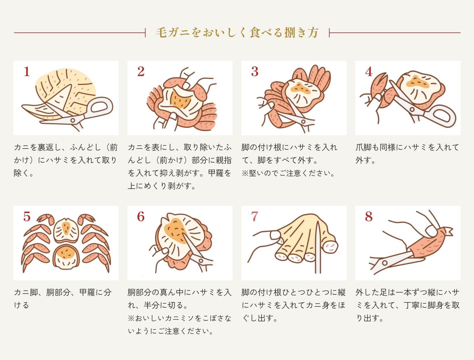 毛ガニの食べ方完全攻略！痛くない捌き方とカニ味噌・甲羅酒の極意