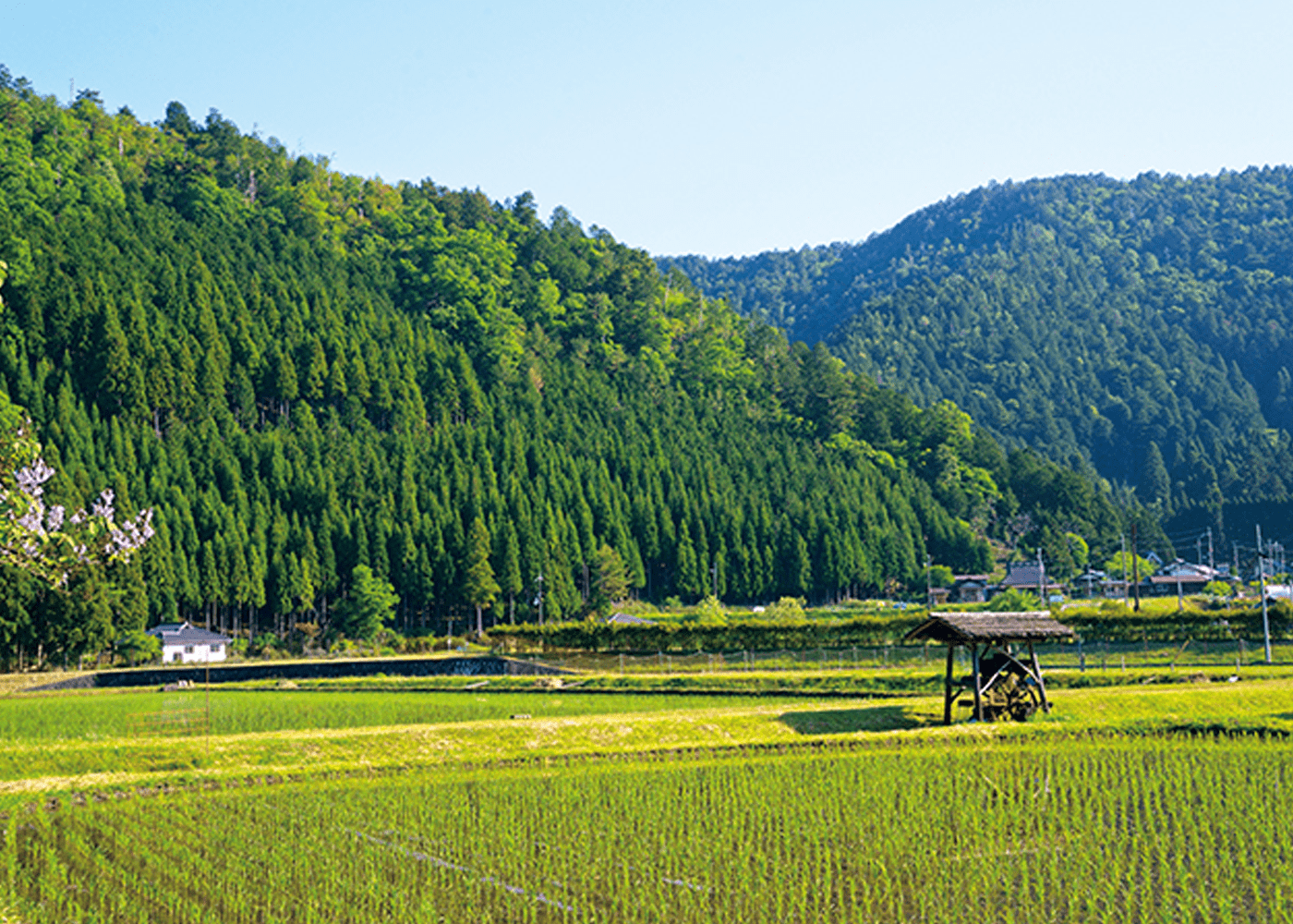 明智光秀の城跡で話題！京北周山町が移住・観光で選ばれる3つの真相
