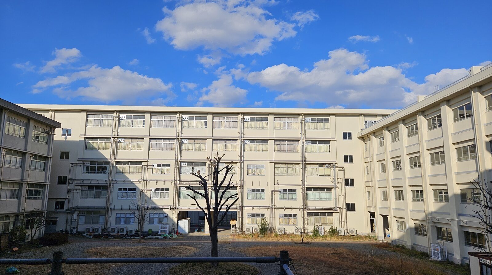 神奈川県立金井高校のリアルな評判と2026年最新偏差値・倍率解剖