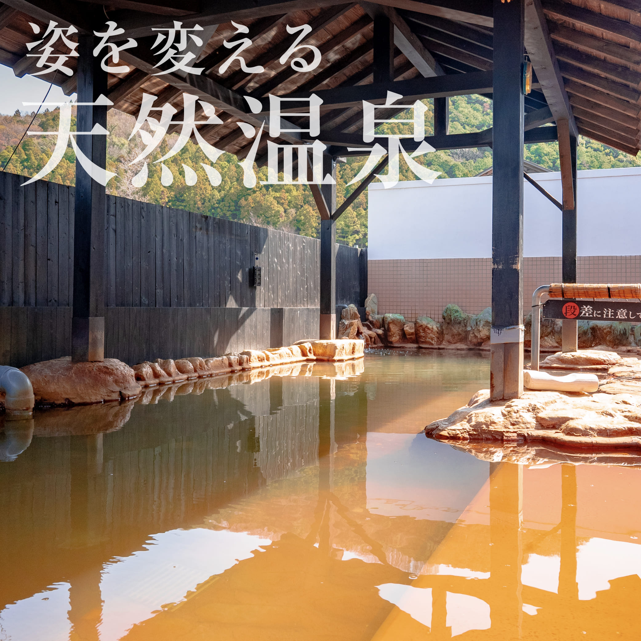 【2026最新】白寿の湯の魅力を解剖！混雑回避と名物発酵食の全貌