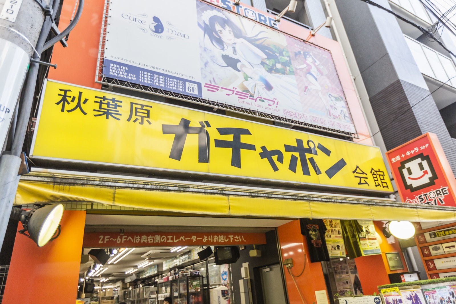 秋葉原ガチャポン会館の魅力と真価｜聖地と呼ばれる理由を徹底解剖