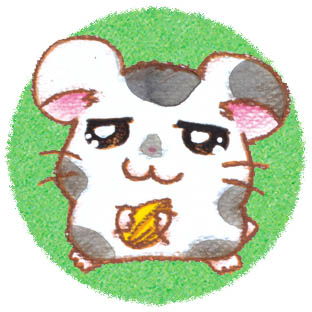 【インスタ画像】 こう し くん ハム 太郎 話題のバズ動画・画像 #816