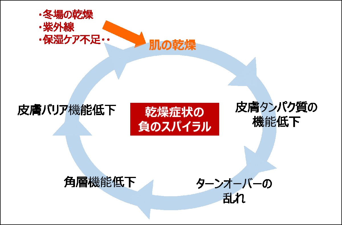 ワセリンとグリセリンの違いを徹底比較！保湿の仕組みと肌別使い分け