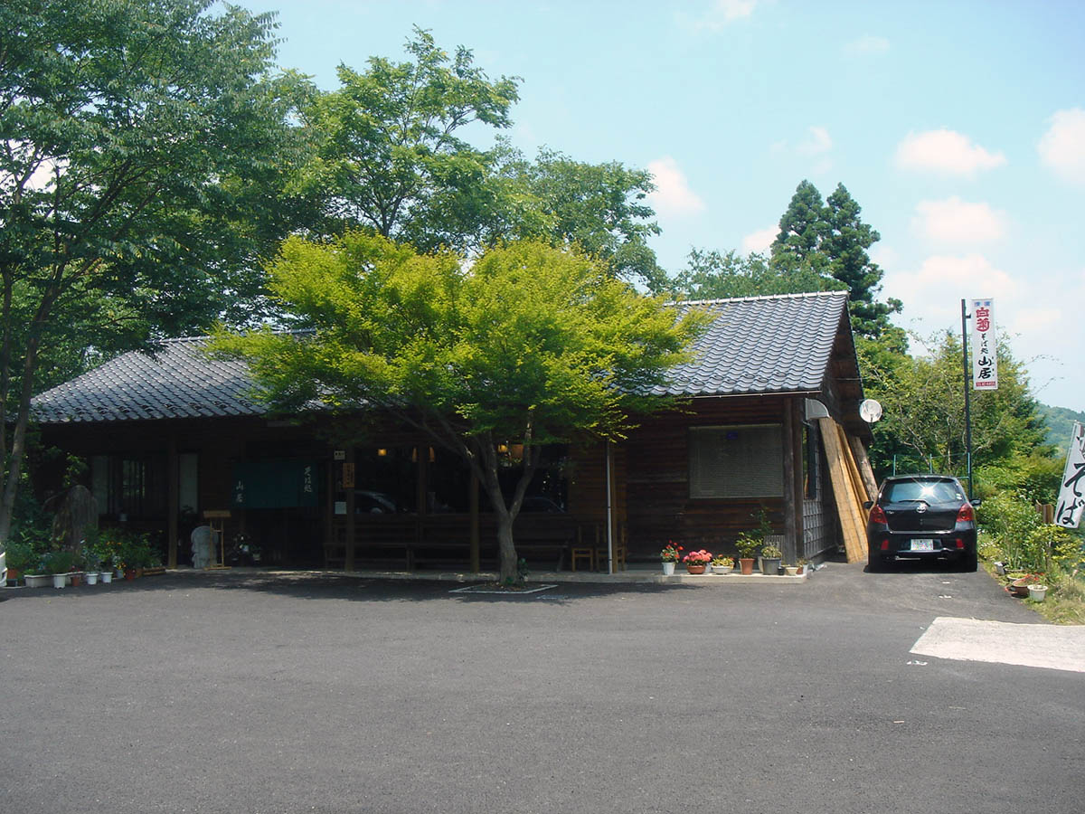 名店そば処山居を徹底調査！絶品手打ち蕎麦の魅力と混雑攻略【2026】