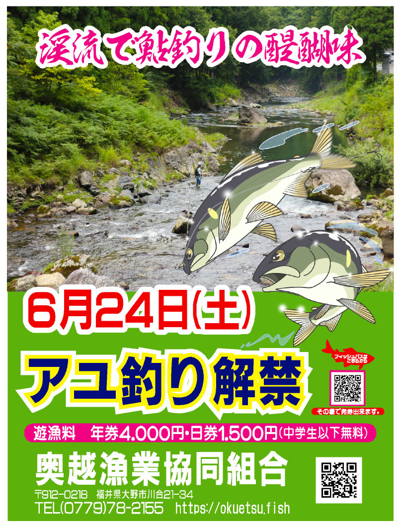 2026年鮎解禁日一覧！全国主要河川の時期と釣果を伸ばす秘訣