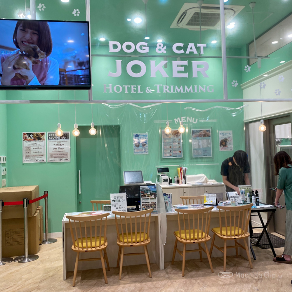 町田の人気ペットショップ徹底比較！大型店から専門店まで口コミ総力取材