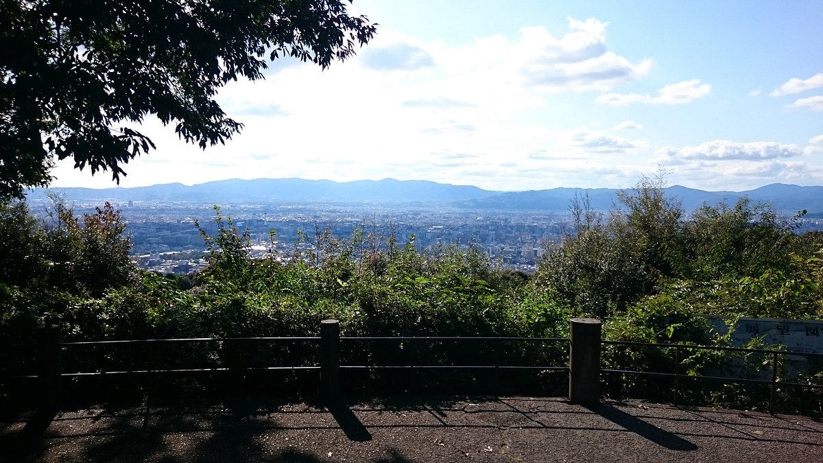 東山山頂公園展望台の夜景と駐車場情報｜青龍殿との違いと治安を徹底解説