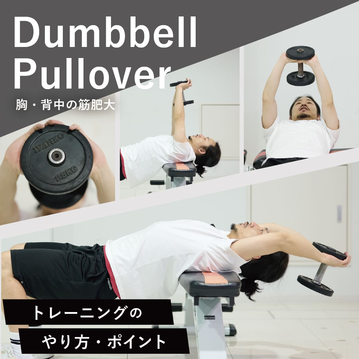 ダンベルプルオーバーは胸と背中どっち？効かない原因と肩痛の真相を徹底解説