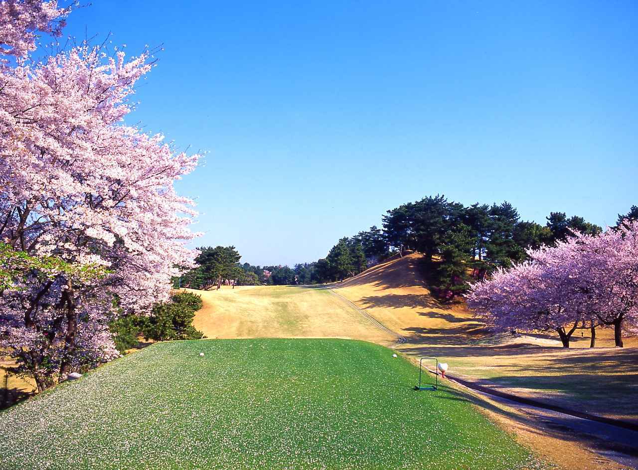 枚方カントリー倶楽部は敷居が高い？名門の真実と最新相場を徹底検証