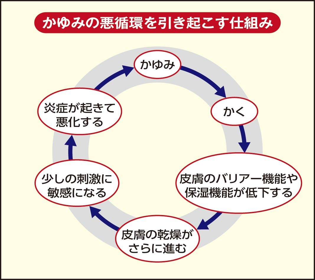 発疹がないのに全身が痒い！肝臓が放つSosサインと受診の目安