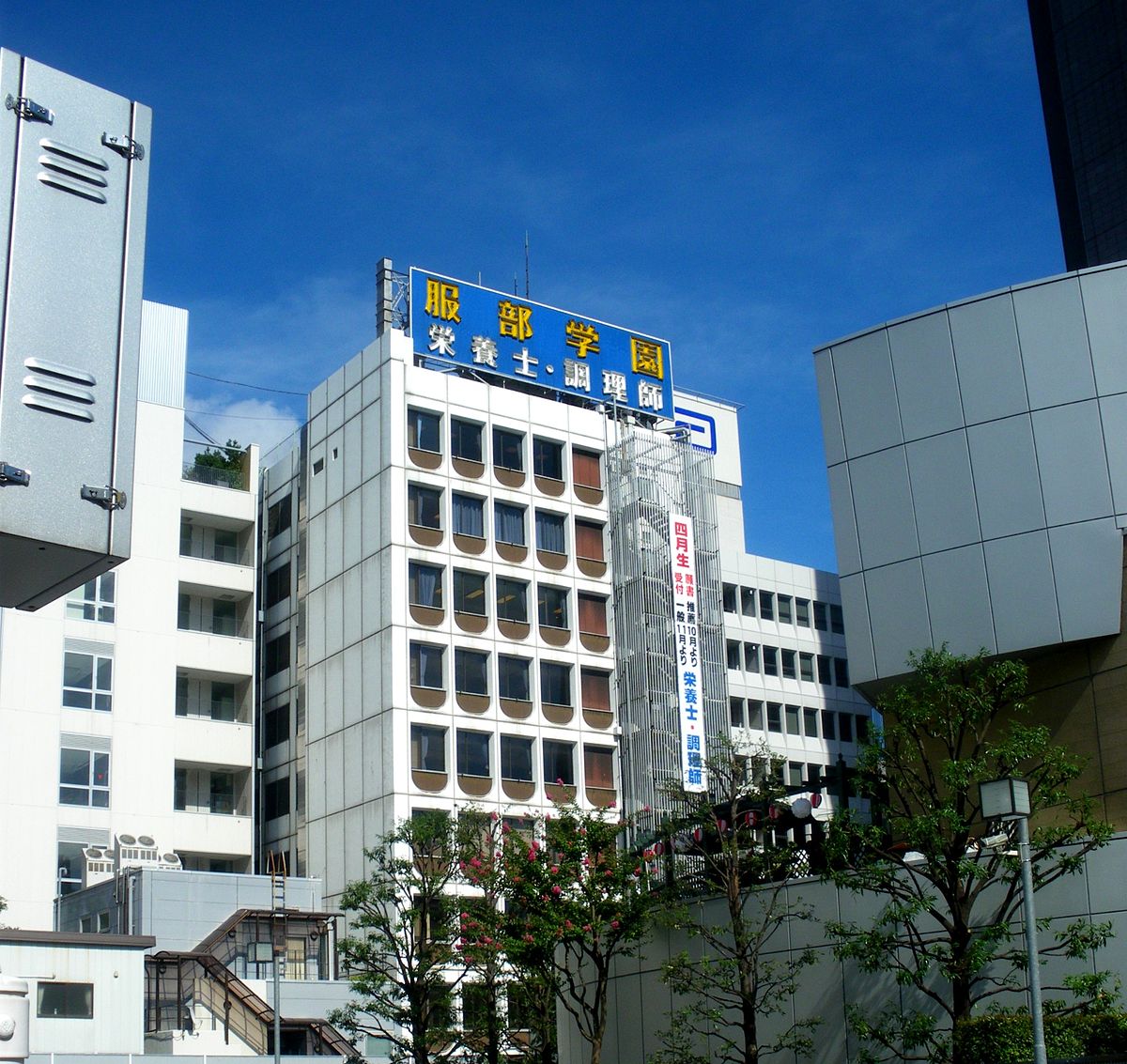 服部栄養専門学校の学費と評判の真実｜就職実績や口コミを徹底検証