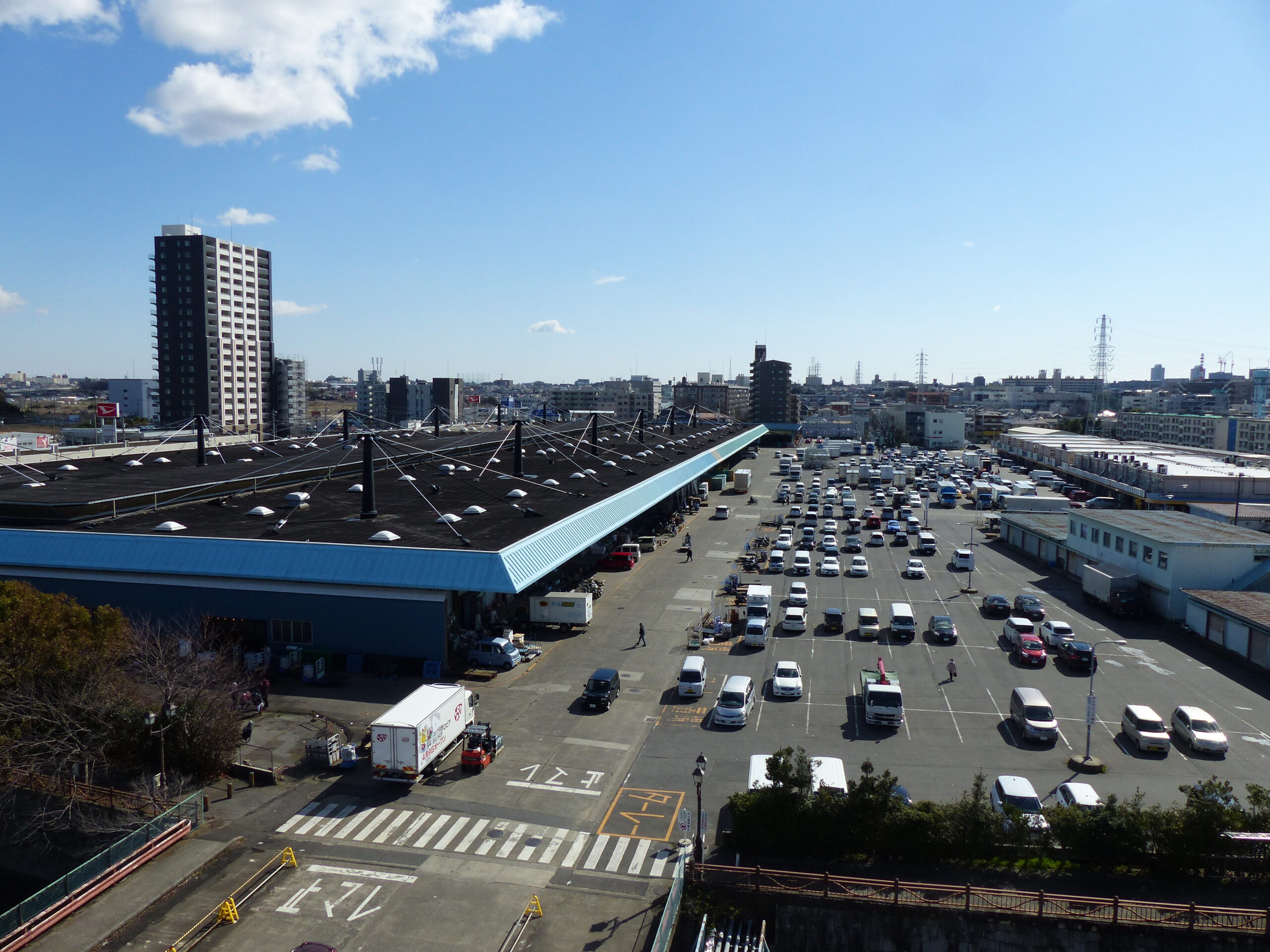 船橋市地方卸売市場は一般利用可能？海鮮丼と買い回り完全攻略法