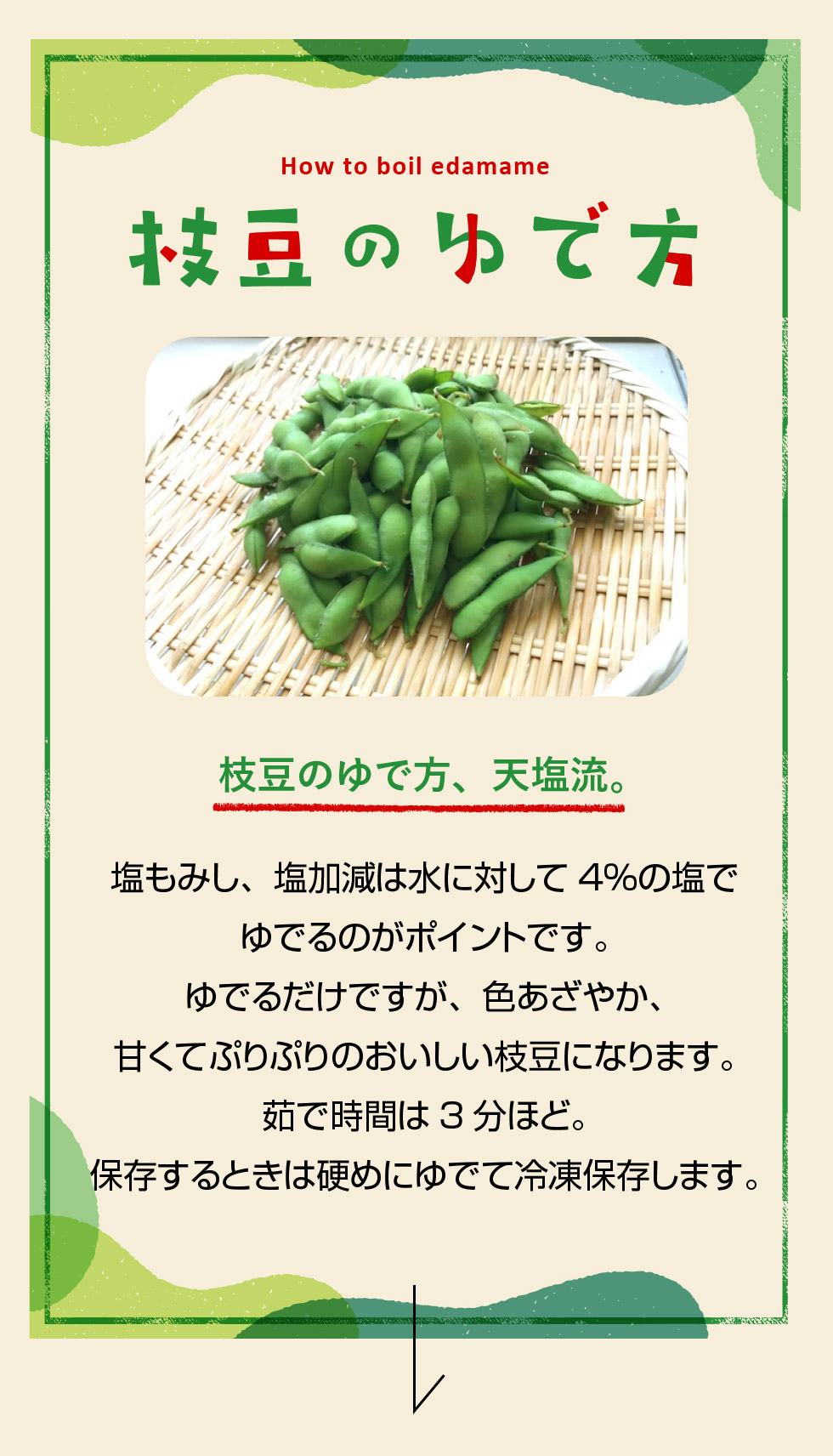 枝豆を茹でる時間は何分？塩分4％と劇的に甘くなる下処理の極意