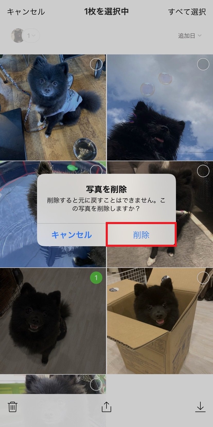 Line写真削除は相手にバレる？送信取消との違いと2026年最新手順