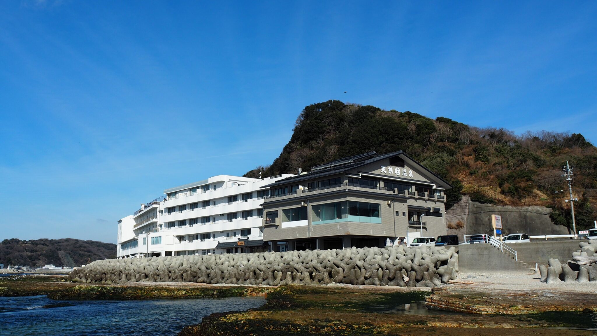 まるは食堂旅館豊浜本店を徹底解剖！名物エビフライと絶景温泉の真価