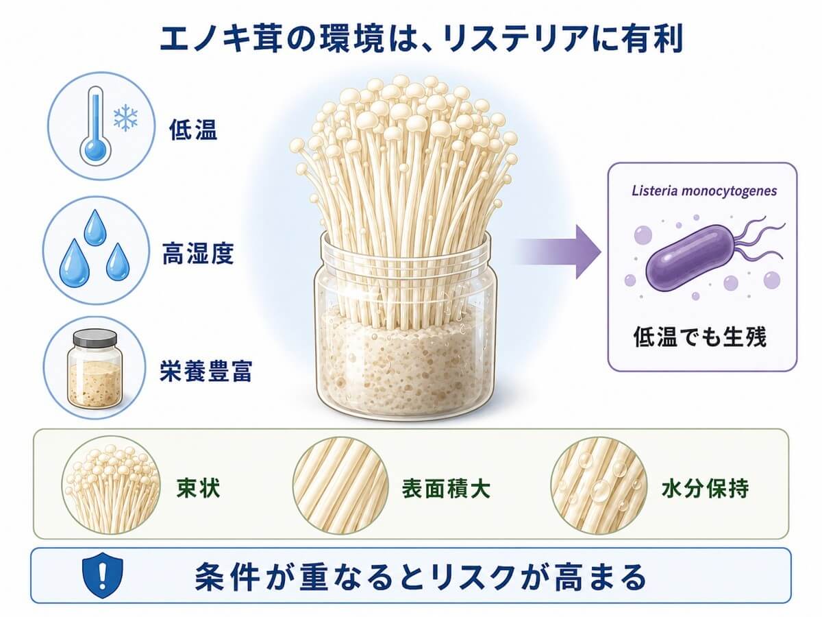 えのき食中毒が話題沸騰｜2026年最新の真相とリステリア危険性を徹底解説