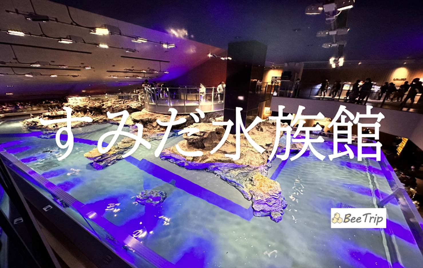 すみだ水族館の所要時間は？滞在目安とデート・子連れの混雑回避術