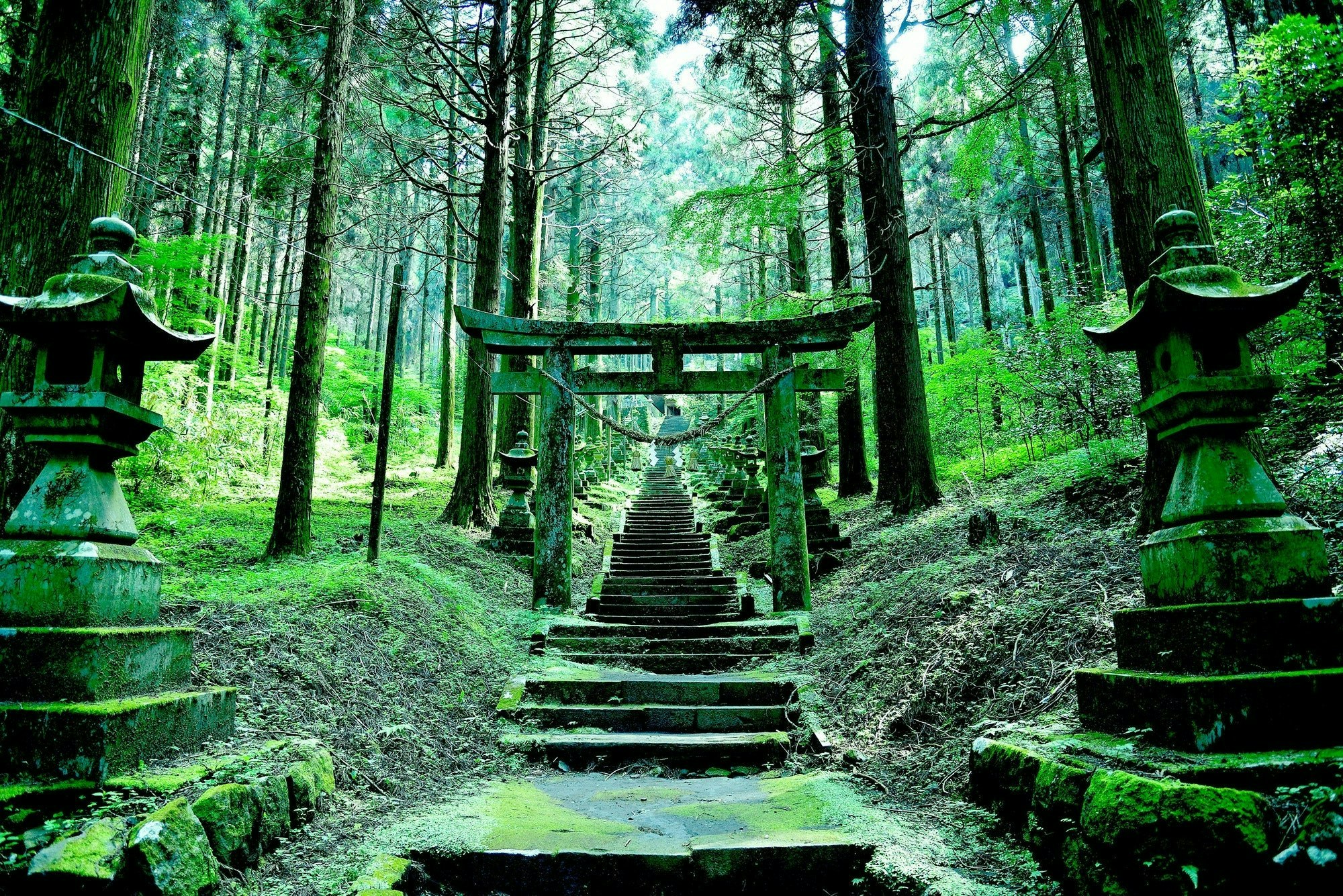 異界への扉？上色見熊野座神社の神秘と2026年最新参拝ガイド