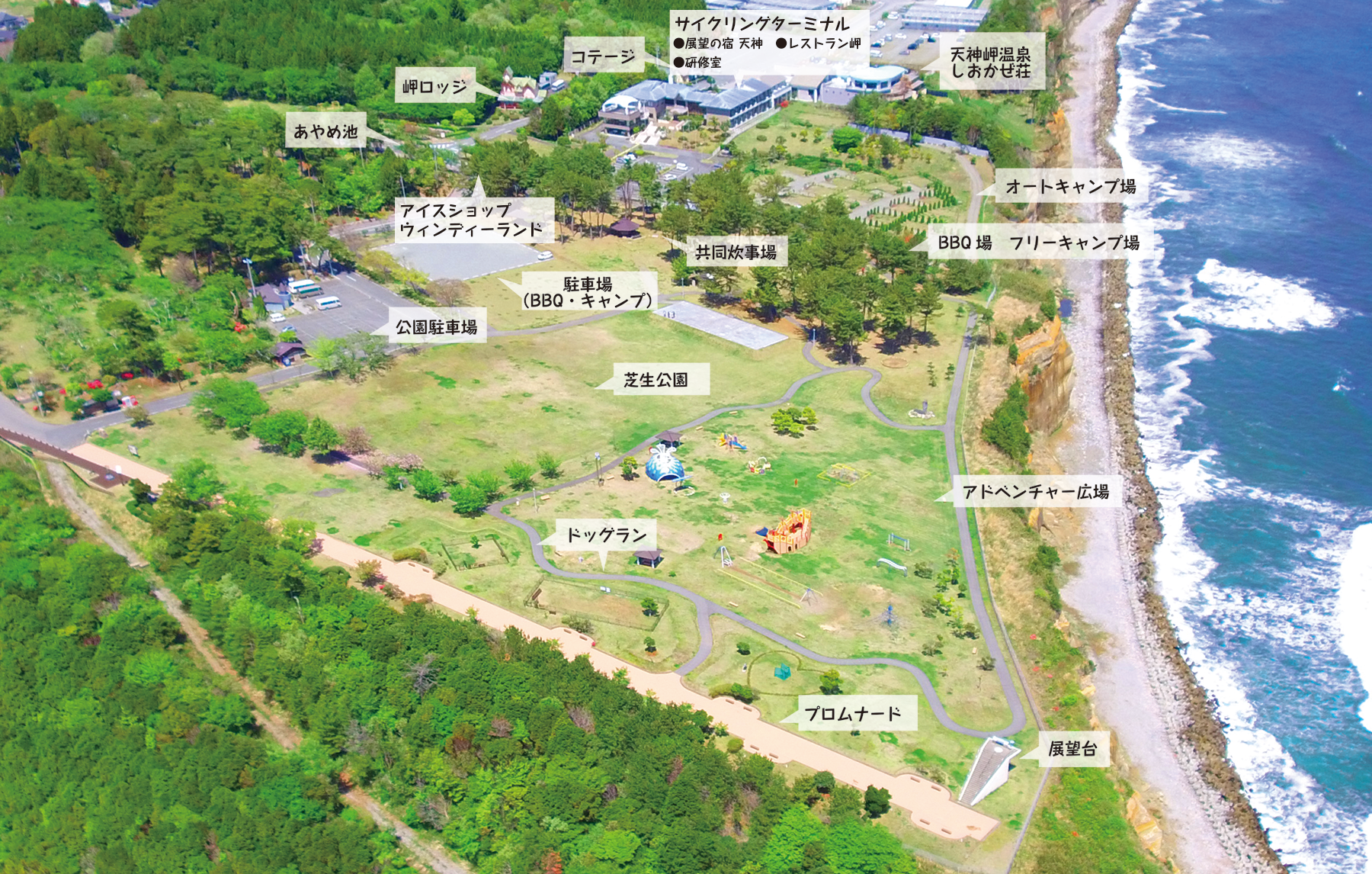 天神岬スポーツ公園キャンプ場徹底検証！絶景と温泉のリアルな評判と攻略法