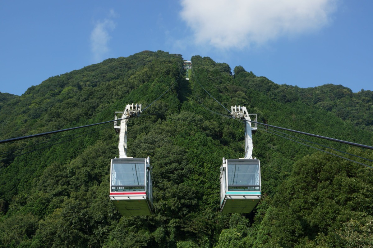 葛城山ロープウェイ2026最新運行とツツジ混雑回避の全真相