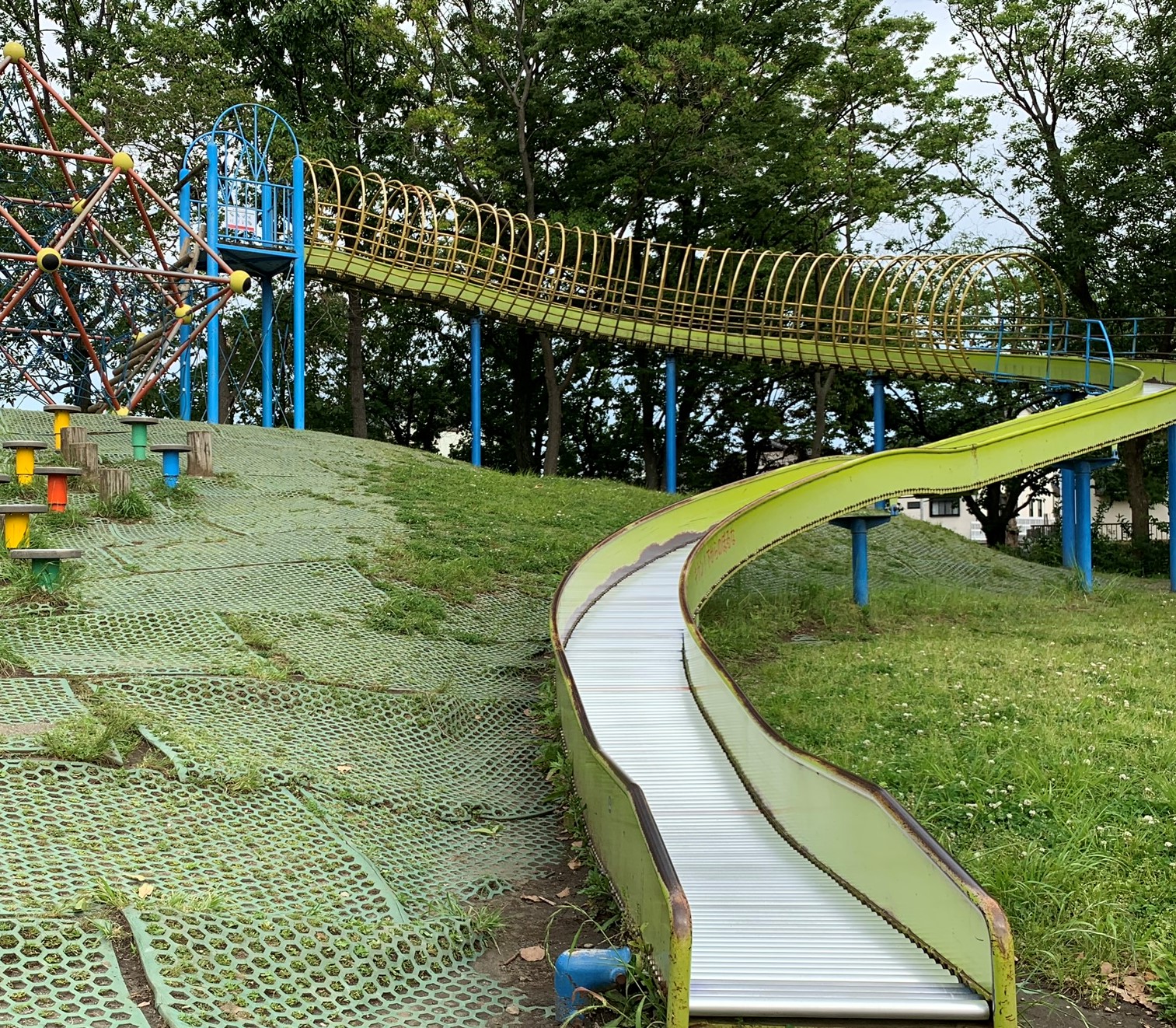 なぜ平塚・真土大塚山公園が人気？古墳と桜の見どころや駐車場まで徹底解説