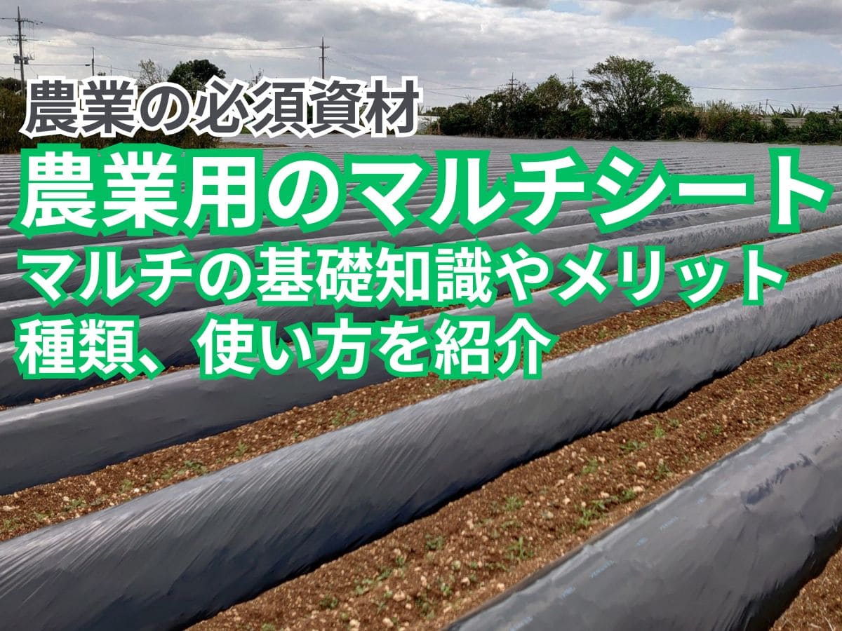 怪しい勧誘の正体…マルチとは？ねずみ講との決定的な違いと安全な断り方