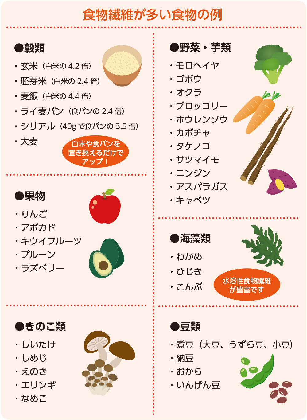 食物繊維の多い食べ物ランキング2026！便秘悪化を防ぐ黄金比と真実