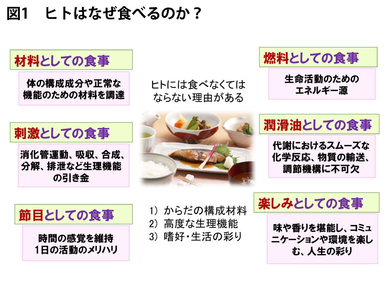 食事とは何か？健康・文化・習慣から読み解く2026年最新版