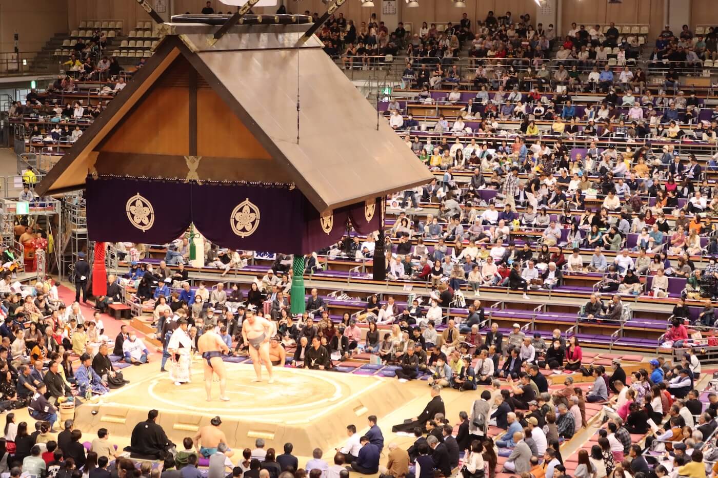 【九州場所2026】福岡国際センターが熱狂する理由と最新動向を徹底解説