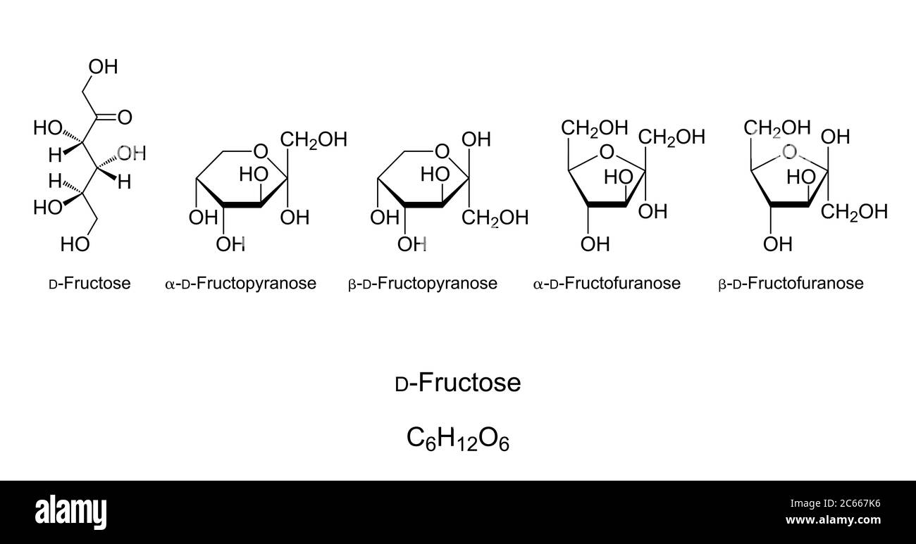 Pl学園野球部はなぜ消えたのか？休部の真相と2026年現在のリアル