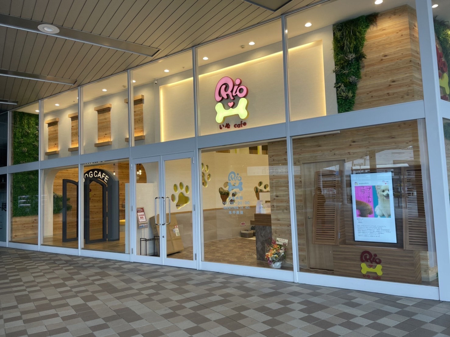 福岡の犬カフェ完全ガイド！愛犬同伴からふれあいまで最新人気店を比較