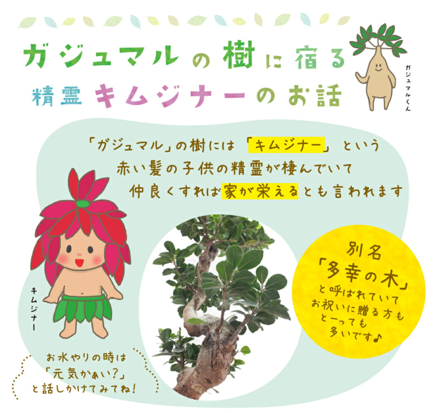 沖縄の精霊キジムナーとは？ガジュマルに宿る正体と祟りの真相