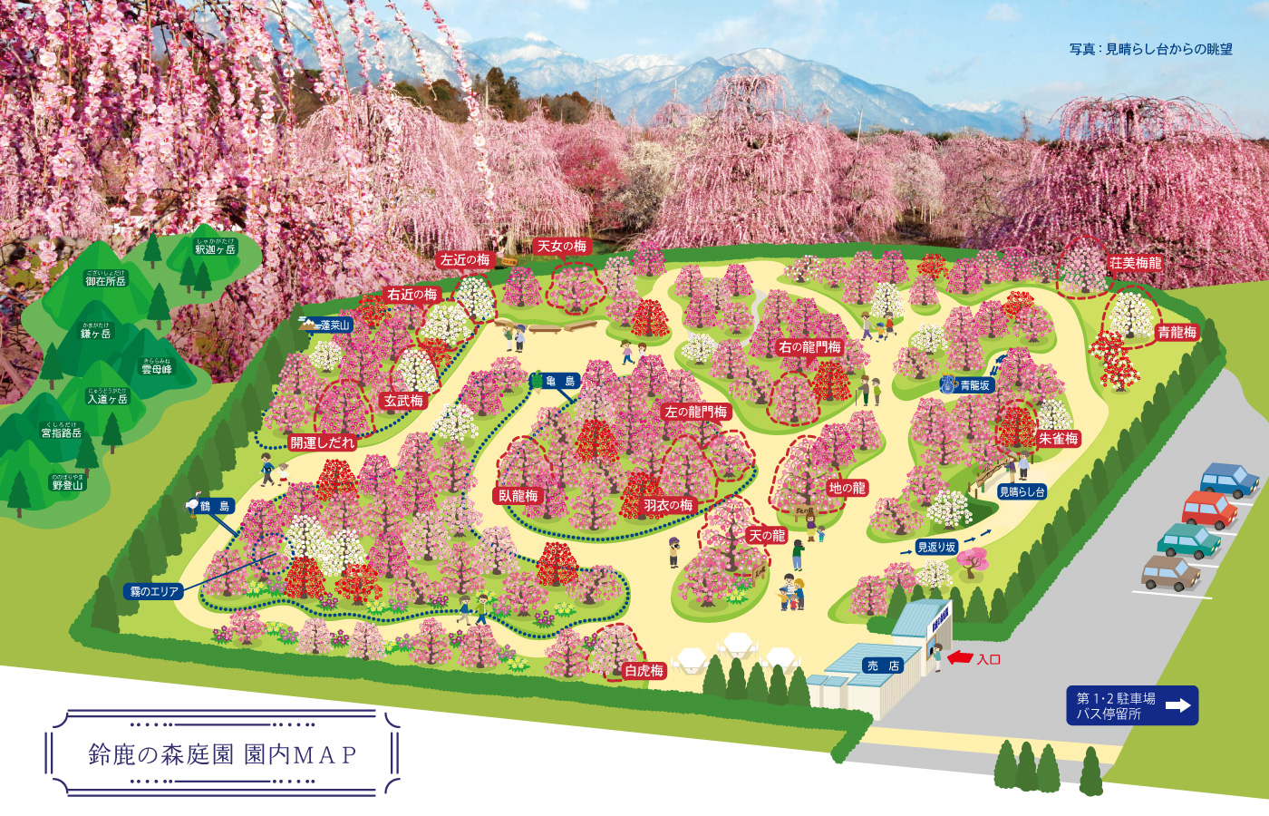 鈴鹿の森庭園2026見頃と開花状況！変動入場料や混雑回避を徹底解説