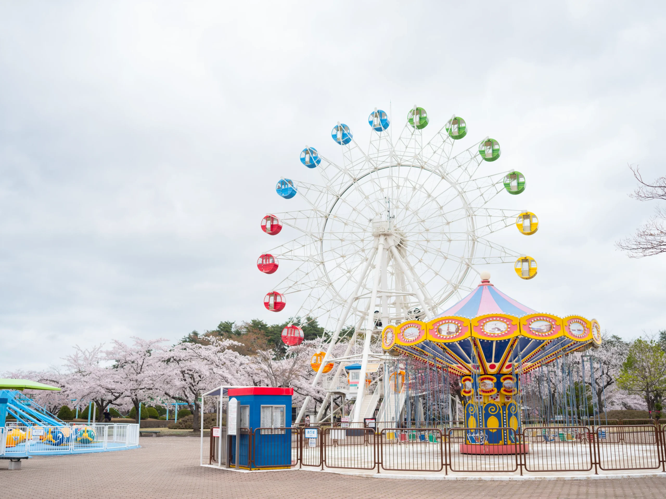八戸公園こどもの国2026完全ガイド！料金・混雑回避と穴場を徹底解説